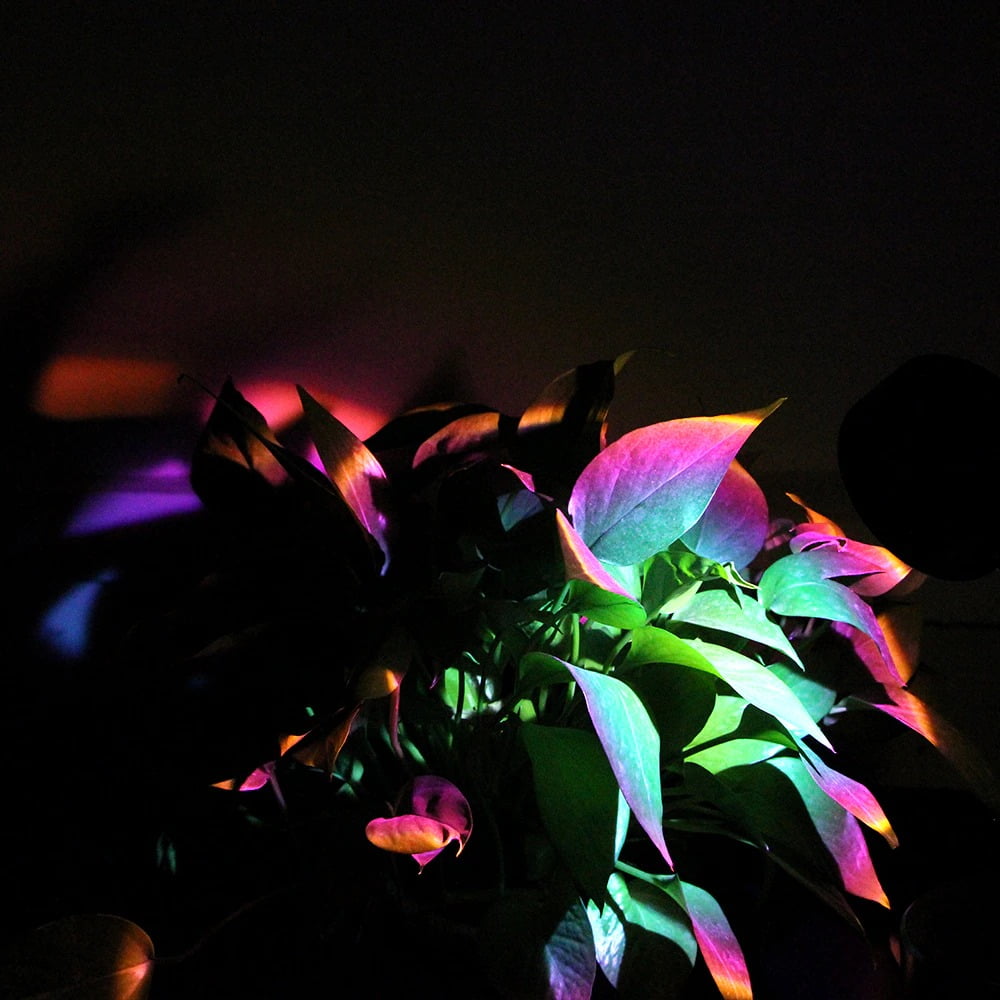 RGB Sunset Lamp Rainbow Projector Mood Light Living Room Bedroom Night Light Room Decor Bar Atmosphere Photography Background
